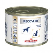 ROYAL CANIN DOG/CAT RECOVERY 195g